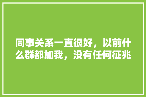 同事关系一直很好,以前什么群都加我,没有任何征兆下,单独建了群,怎么办,为什么有人建群拼命拉人。 必应SEO 同事关系一直很好,以前什么群都加我,没有任何征兆下,单独建了群,怎么办,为什么有人建群拼命拉人。 必应SEO