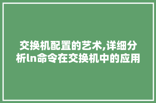 交换机配置的艺术,详细分析ln命令在交换机中的应用