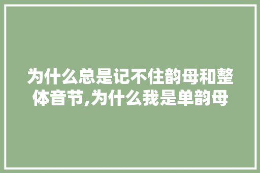 为什么总是记不住韵母和整体音节,为什么我是单韵母拼音。