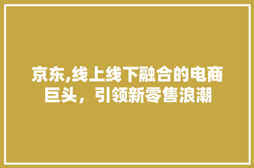 京东,线上线下融合的电商巨头，引领新零售浪潮
