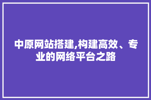 中原网站搭建,构建高效、专业的网络平台之路