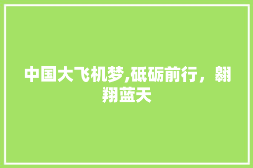 中国大飞机梦,砥砺前行，翱翔蓝天 中国大飞机梦,砥砺前行，翱翔蓝天 网站建设公司