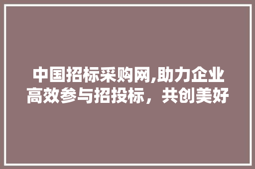 中国招标采购网,助力企业高效参与招投标，共创美好未来