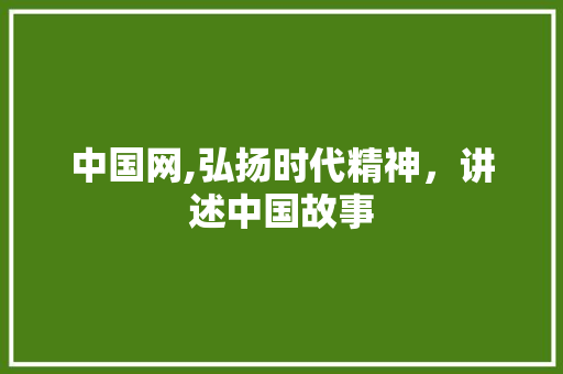 中国网,弘扬时代精神，讲述中国故事