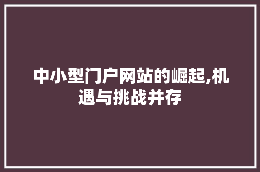 中小型门户网站的崛起,机遇与挑战并存 中小型门户网站的崛起,机遇与挑战并存 必应SEO