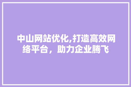 中山网站优化,打造高效网络平台，助力企业腾飞