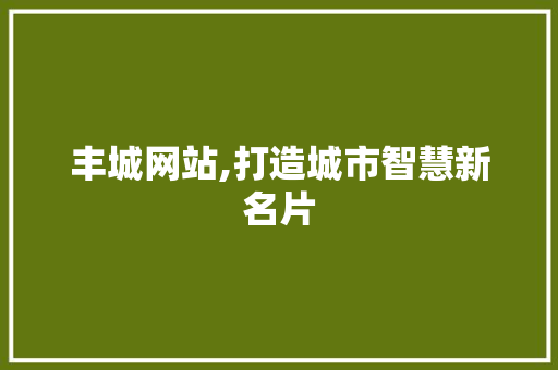 丰城网站,打造城市智慧新名片