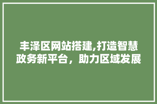 丰泽区网站搭建,打造智慧政务新平台，助力区域发展 丰泽区网站搭建,打造智慧政务新平台，助力区域发展 百度SEO