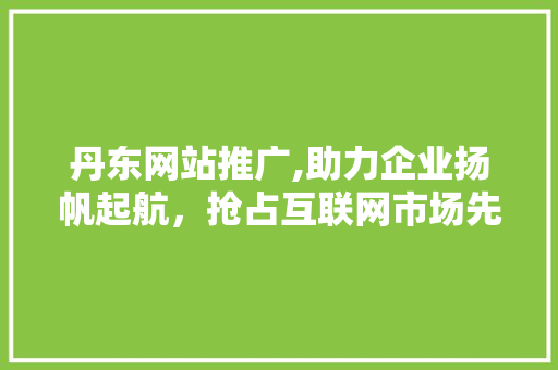 丹东网站推广,助力企业扬帆起航，抢占互联网市场先机