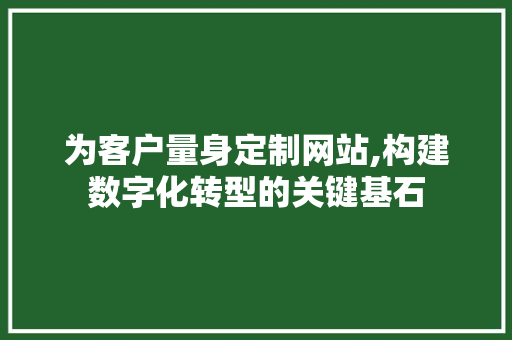 为客户量身定制网站,构建数字化转型的关键基石 为客户量身定制网站,构建数字化转型的关键基石 神马SEO