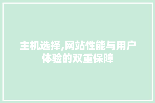主机选择,网站性能与用户体验的双重保障