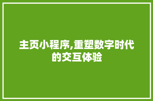主页小程序,重塑数字时代的交互体验