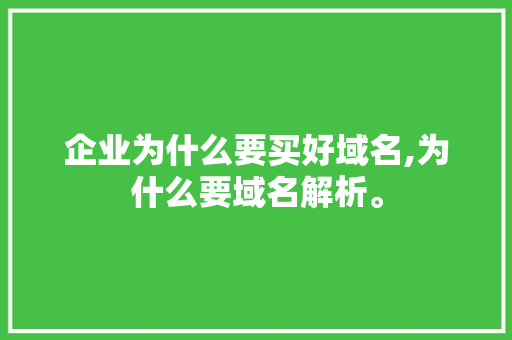 企业为什么要买好域名,为什么要域名解析。 企业为什么要买好域名,为什么要域名解析。 SEO关键词