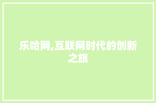 乐哈网,互联网时代的创新之旅