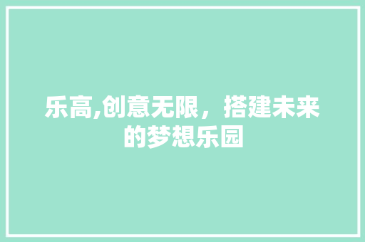 乐高,创意无限，搭建未来的梦想乐园