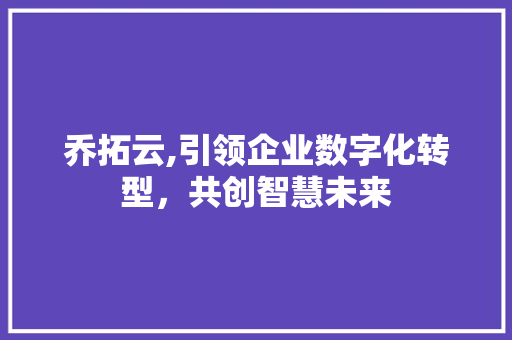乔拓云,引领企业数字化转型，共创智慧未来