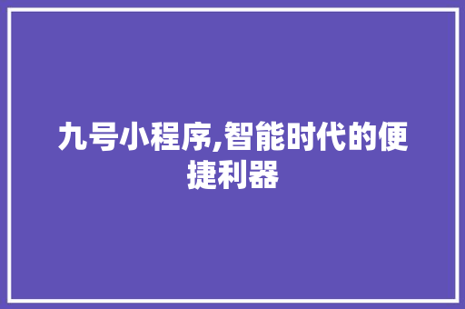 九号小程序,智能时代的便捷利器