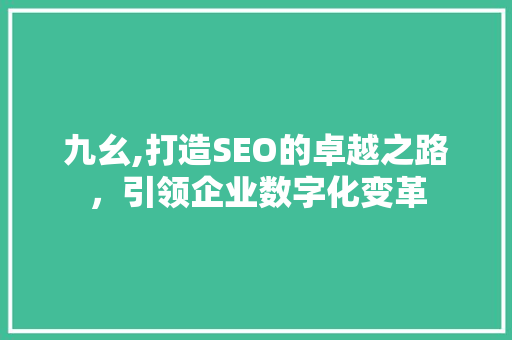 九幺,打造SEO的卓越之路，引领企业数字化变革