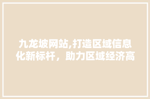 九龙坡网站,打造区域信息化新标杆，助力区域经济高质量发展
