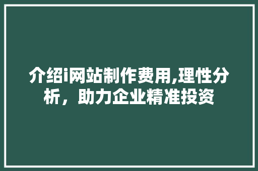 介绍i网站制作费用,理性分析，助力企业精准投资