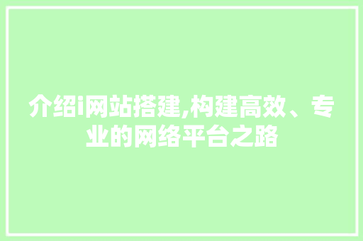 介绍i网站搭建,构建高效、专业的网络平台之路