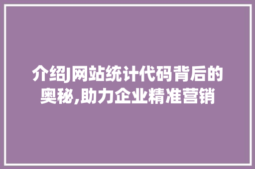 介绍J网站统计代码背后的奥秘,助力企业精准营销