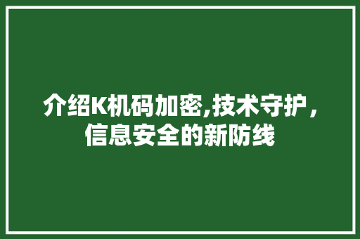 介绍K机码加密,技术守护，信息安全的新防线