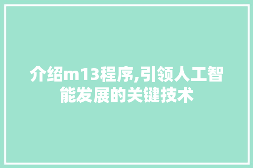 介绍m13程序,引领人工智能发展的关键技术 介绍m13程序,引领人工智能发展的关键技术 网站建设公司