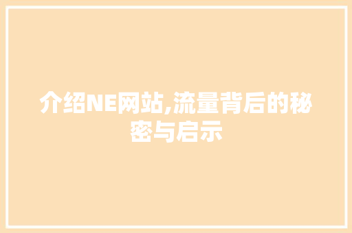 介绍NE网站,流量背后的秘密与启示
