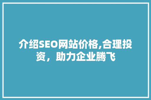 介绍SEO网站价格,合理投资，助力企业腾飞