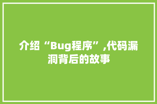 介绍“Bug程序”,代码漏洞背后的故事