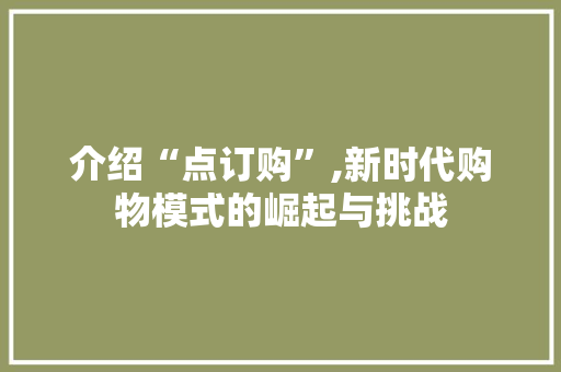 介绍“点订购”,新时代购物模式的崛起与挑战