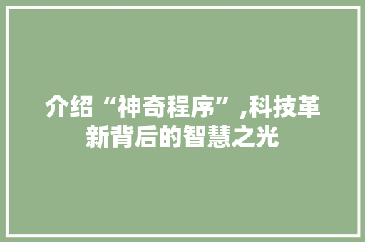 介绍“神奇程序”,科技革新背后的智慧之光 介绍“神奇程序”,科技革新背后的智慧之光 网站建设公司