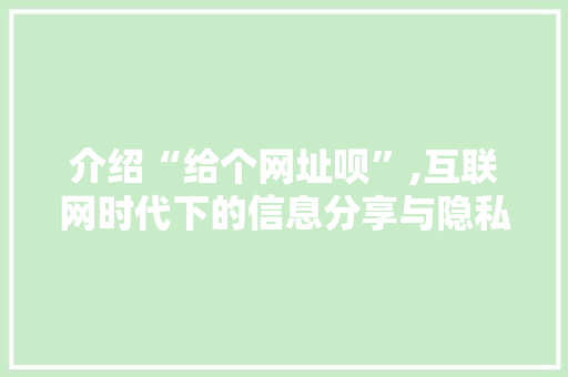 介绍“给个网址呗”,互联网时代下的信息分享与隐私保护 介绍“给个网址呗”,互联网时代下的信息分享与隐私保护 网站建设公司