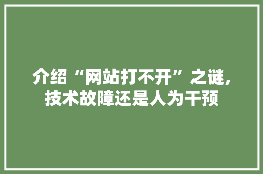介绍“网站打不开”之谜,技术故障还是人为干预