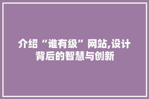 介绍“谁有级”网站,设计背后的智慧与创新
