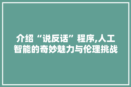 介绍“说反话”程序,人工智能的奇妙魅力与伦理挑战