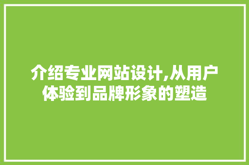 介绍专业网站设计,从用户体验到品牌形象的塑造