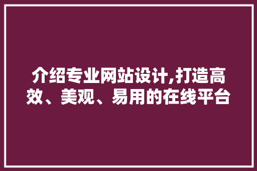 介绍专业网站设计,打造高效、美观、易用的在线平台