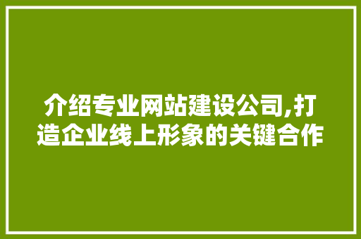 介绍专业网站建设公司,打造企业线上形象的关键合作伙伴