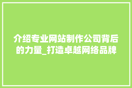介绍专业网站制作公司背后的力量_打造卓越网络品牌之路
