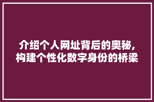 介绍个人网址背后的奥秘,构建个性化数字身份的桥梁
