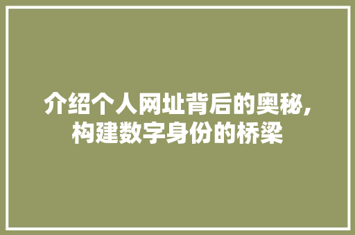 介绍个人网址背后的奥秘,构建数字身份的桥梁