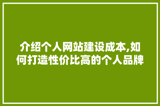 介绍个人网站建设成本,如何打造性价比高的个人品牌阵地