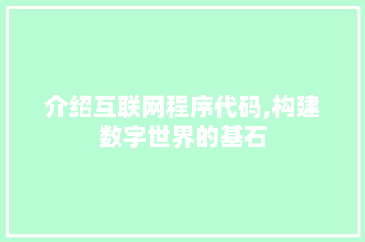 介绍互联网程序代码,构建数字世界的基石