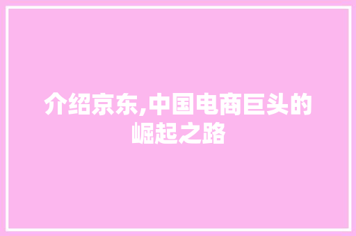 介绍京东,中国电商巨头的崛起之路