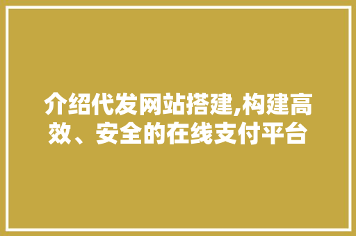 介绍代发网站搭建,构建高效、安全的在线支付平台