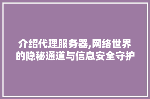 介绍代理服务器,网络世界的隐秘通道与信息安全守护者