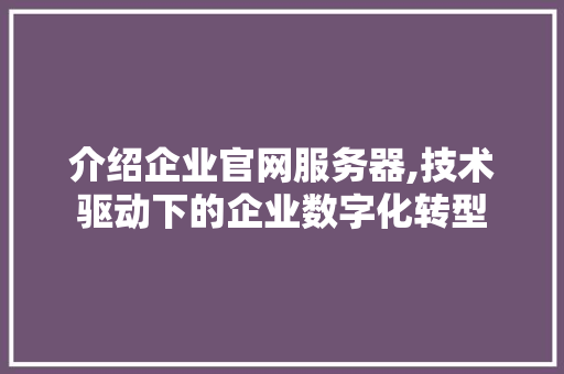 介绍企业官网服务器,技术驱动下的企业数字化转型