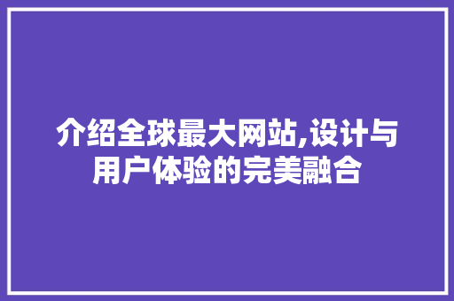 介绍全球最大网站,设计与用户体验的完美融合